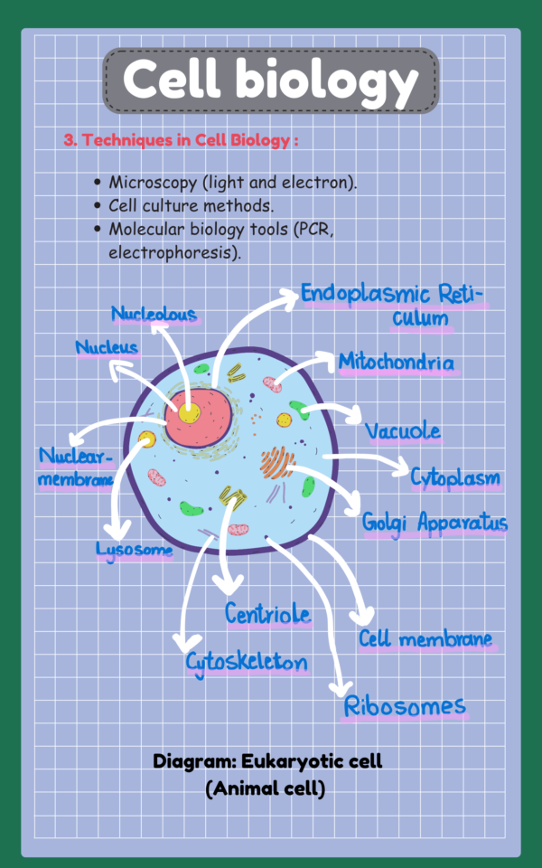 Biology Notes Part 1 for IMAT – High-Yield Exam Prep - Image 3